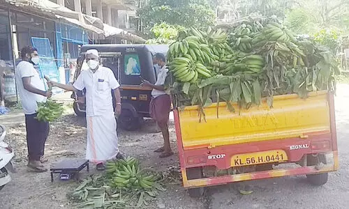 banana sale