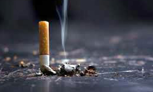 നിരോധിത പുകയില ഉൽ​പന്നം പിടികൂടി