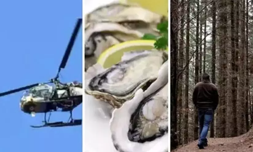 Wanted man hires helicopter, drinks champagne and eats oysters, before surrendering
