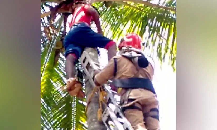 തെങ്ങിൽ കയറി കുടുങ്ങിയ യുവാവിനെ രക്ഷപ്പെടുത്തി തെങ്ങിൽ കയറി കുടുങ്ങിയ യുവാവിനെ രക്ഷപ്പെടുത്തി