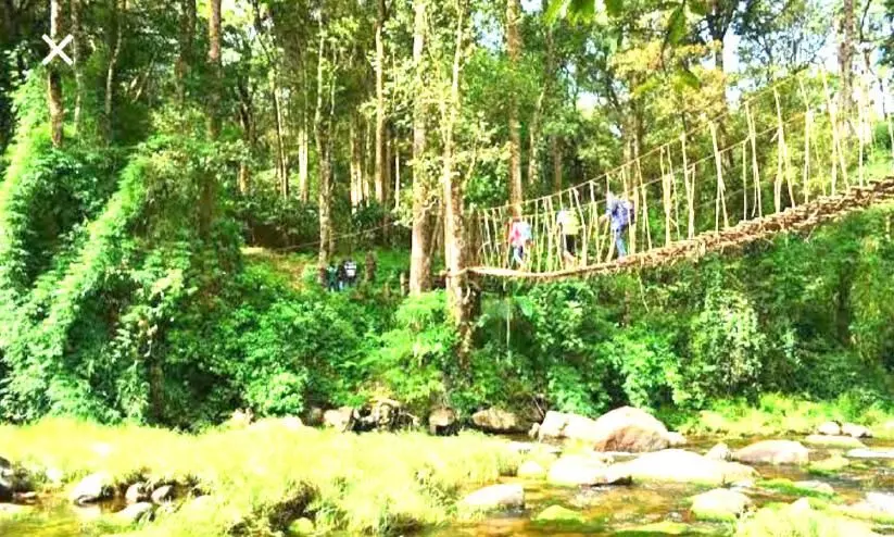 edamalakkudy edamalakkudy