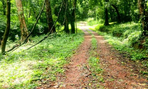 ആറളം ഫാമിന് 6.17 കോടി അനുവദിച്ചു