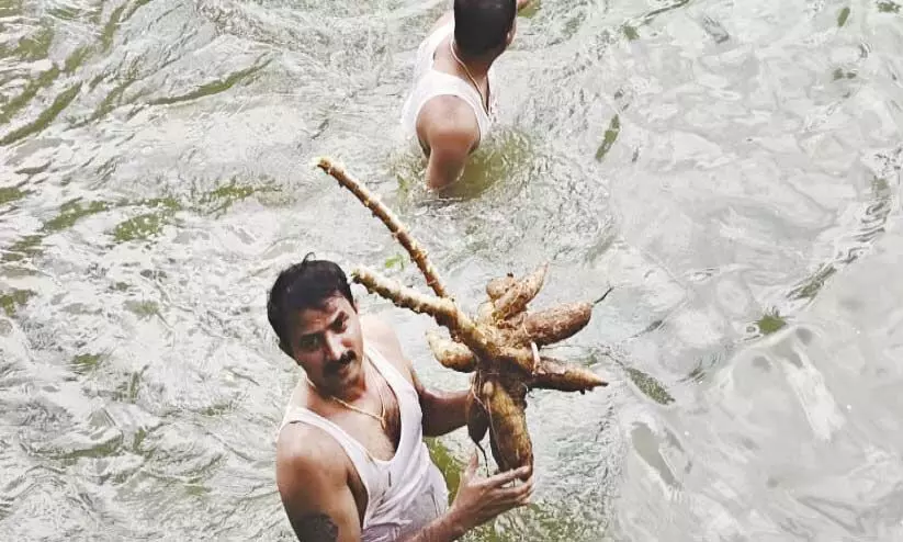 ത​ൃശൂർ കമീഷണർ​ കപ്പ ചോദിച്ചു; വാരിക്കോരി നൽകി മലപ്പുറം പൊലീസ്