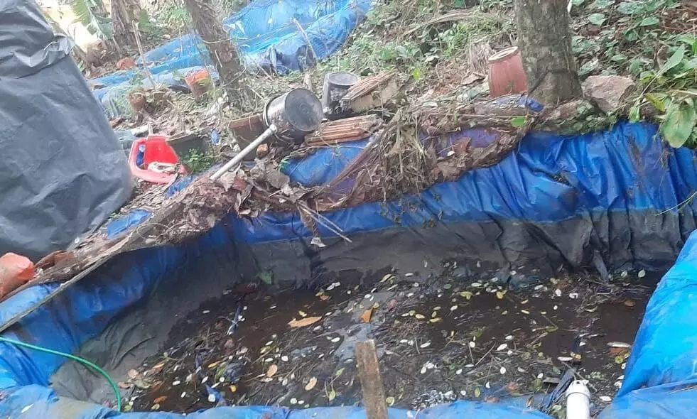 കുളം വറ്റിച്ച് മീൻ മോഷ്ടിച്ചു കുളം വറ്റിച്ച് മീൻ മോഷ്ടിച്ചു