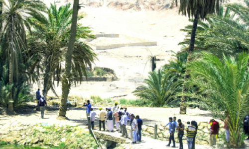 വി​നോ​ദ സ​ഞ്ചാ​രി​ക​ൾ​ക്ക് ദൃ​ശ്യ വി​രു​ന്നൊ​രു​ക്കി ത​ബൂ​ക്കി​ലെ മ​ഖ്‌​ന