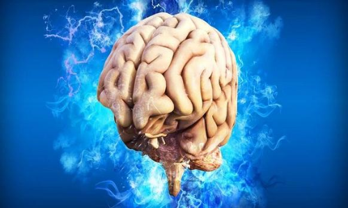 തലച്ചോറിലെ ‘ഭീതിയിടം’ കണ്ടെത്തി, ദുരന്തങ്ങൾ മറക്കാം!