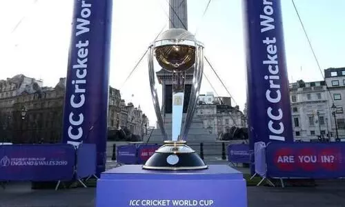 crickt world cup