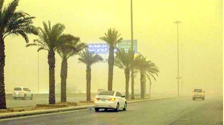 ജൂൺ പകുതിയോടെ പൊടിക്കാറ്റും ചൂടും ശക്തമാകുമെന്ന് സൂചന ജൂൺ പകുതിയോടെ പൊടിക്കാറ്റും ചൂടും ശക്തമാകുമെന്ന് സൂചന