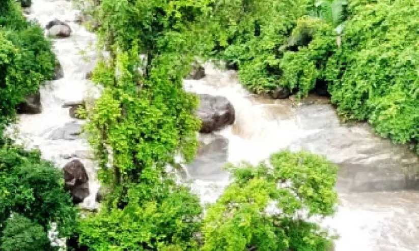 പുഴയിലെ തുരുത്തിൽ കുടുങ്ങിയ യുവാക്കളെ ജനകീയ രക്ഷാസേന രക്ഷപ്പെടുത്തി പുഴയിലെ തുരുത്തിൽ കുടുങ്ങിയ യുവാക്കളെ ജനകീയ രക്ഷാസേന രക്ഷപ്പെടുത്തി