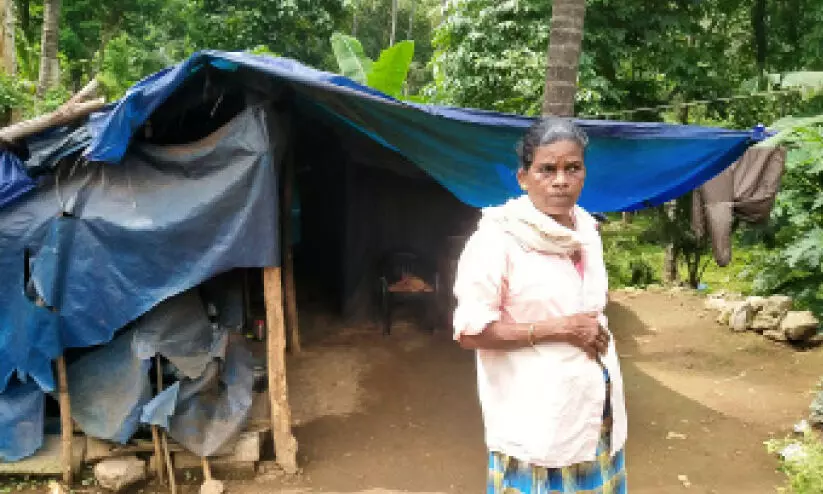 tribals nadapuram tribals nadapuram