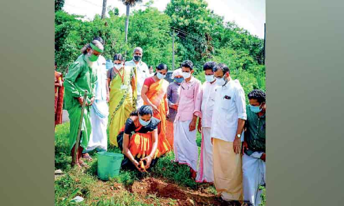 വെള്ളിനേഴിയിൽ കരിമ്പന കൂട്ടം പദ്ധതി രണ്ടാംഘട്ടത്തിന് തുടക്കം