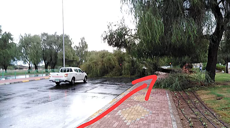 ജൂൺ 5 ലോക പരിസ്ഥിതി ദിനം: അന്നങ്ങനെ, ഇന്നിങ്ങനെ ജൂൺ 5 ലോക പരിസ്ഥിതി ദിനം: അന്നങ്ങനെ, ഇന്നിങ്ങനെ