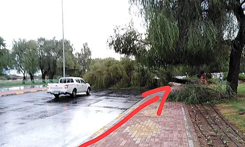 ജൂൺ 5 ലോക പരിസ്ഥിതി ദിനം: അന്നങ്ങനെ, ഇന്നിങ്ങനെ