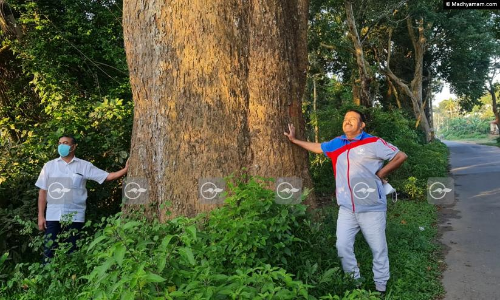 അഞ്ചാംമൈലിലെ അലവി മൂച്ചി