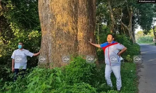 അഞ്ചാംമൈലിലെ അലവി മൂച്ചി