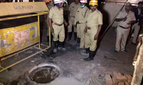 sanitation workers die