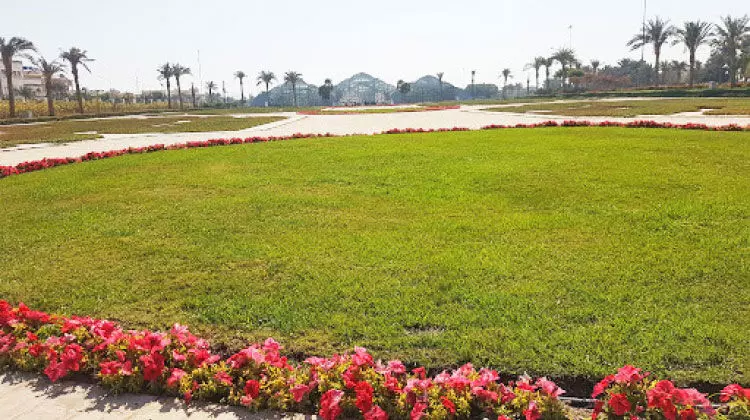 ഇന്ന് പരിസ്ഥിതി ദിനം: പ്രകൃതി സംരക്ഷണത്തിന് കുവൈത്ത് ചെലവഴിക്കുന്നത് കോടികൾ ഇന്ന് പരിസ്ഥിതി ദിനം: പ്രകൃതി സംരക്ഷണത്തിന് കുവൈത്ത് ചെലവഴിക്കുന്നത് കോടികൾ