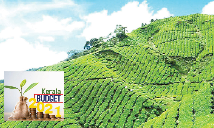 kerala budget-idukki kerala budget-idukki