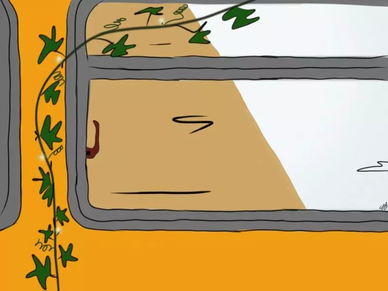 മഞ്ഞ ബസ് മരണങ്ങൾ മഞ്ഞ ബസ് മരണങ്ങൾ