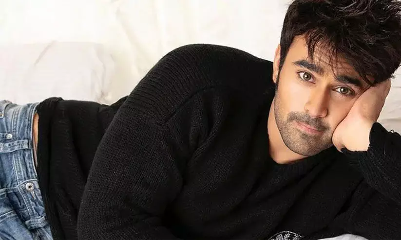 Actor Pearl V Puri