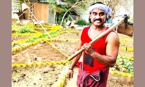 പരിസ്ഥിതിയെ നെഞ്ചോടുചേർത്ത് ഷാർജ