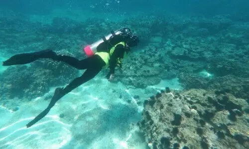 പ​വി​ഴ​പ്പു​റ്റു​ക​ൾ ന​ശി​പ്പി​ക്ക​രു​തെ​ന്ന്​ പ​രി​സ്ഥി​തി അ​തോ​റി​റ്റി