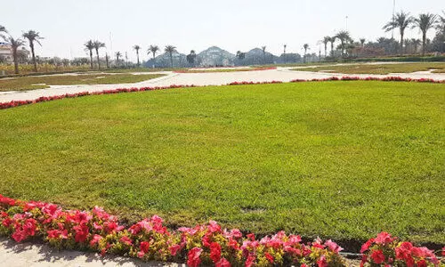 ഇന്ന്​ പരിസ്ഥിതി ദിനം: പ്രകൃതി സംരക്ഷണത്തിന്​ കുവൈത്ത്​ ചെലവഴിക്കുന്നത്​ കോടികൾ