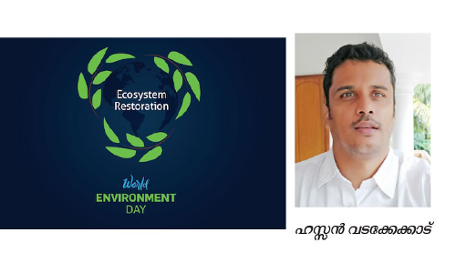 ഇന്ന്​ ലോക പരിസ്ഥിതി ദിനം: വൻ വികസനക്കുതിപ്പിലും പരിസ്​ഥിതി കാത്ത്​ ഖത്തർ