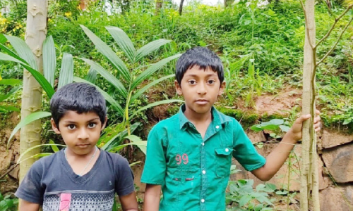 ഇ​വ​ർ​ക്ക്​ പ​രി​സ്ഥി​തി സ്​​നേ​ഹം ഓ​ഫ്​​ലൈ​നും ഓ​ൺ​ലൈ​നു​മാ​ണ്​