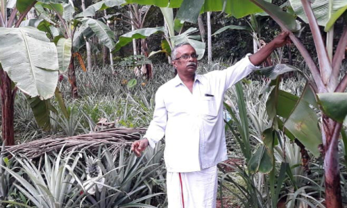 benjamin environment day