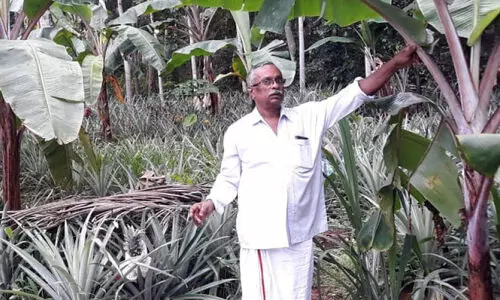 benjamin environment day