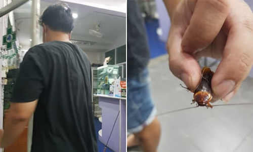 പരിക്കേറ്റ പാറ്റയുമായി അത്യാഹിത വിഭാഗത്തിലെത്തി യുവാവ്; ഡോക്ടറുടെ കുറിപ്പ്