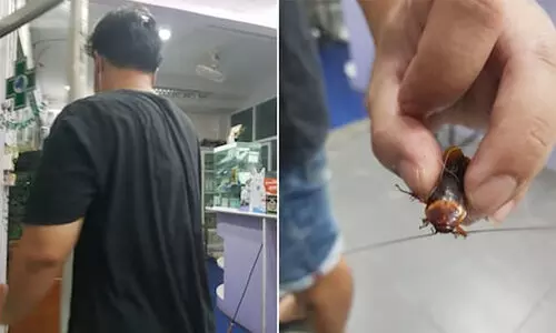 പരിക്കേറ്റ പാറ്റയുമായി അത്യാഹിത വിഭാഗത്തിലെത്തി യുവാവ്; ഡോക്ടറുടെ കുറിപ്പ്