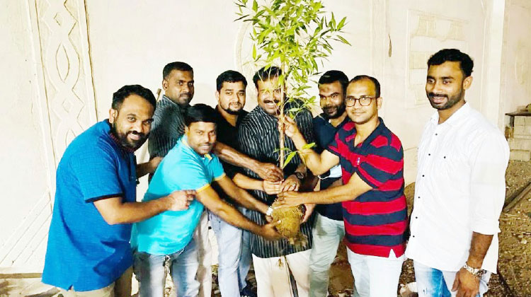 വൃ​ക്ഷ​ത്തൈ ന​ട്ടു