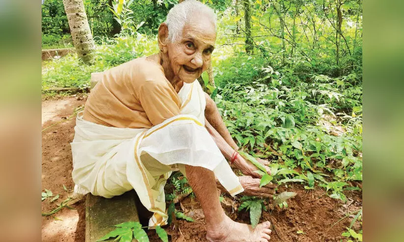 paanhal grand mother