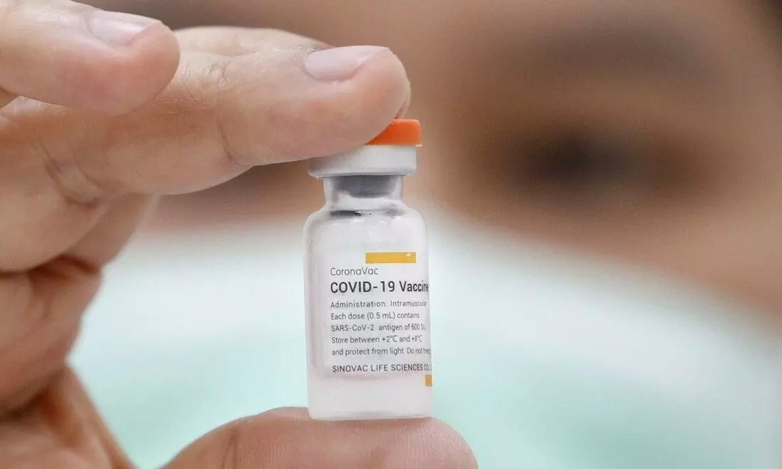 coronavac coronavac