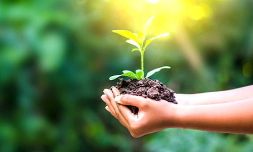 പ്രകൃതി സംരക്ഷണത്തിന്​ പദ്ധതികളുമായി സ്വകാര്യ സ്​ഥാപനങ്ങളും