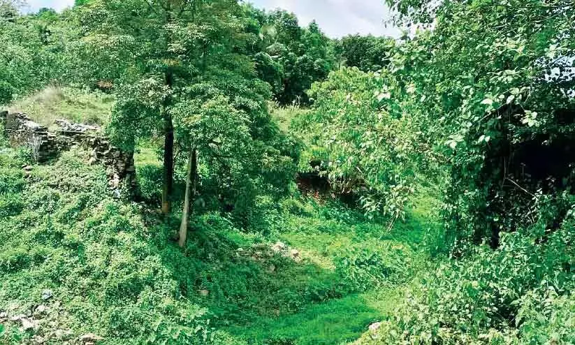 തിരുവാഴിയോട്​ കനാൽ പാലം തകർന്നിട്ട് വർഷങ്ങൾ പു​തു​ക്കി​പ്പണി​യാ​ൻ ന​ട​പ​ടി​യി​ല്ല