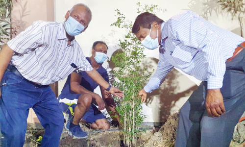 കേരളീയ സമാജത്തിൽ വൃക്ഷത്തെകൾ നട്ടു