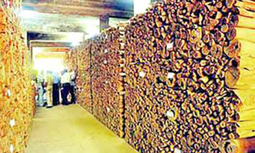 മറയൂർ ചന്ദനം ഓൺലൈൻ ലേലം ആഗസ്​റ്റ്​ മുതൽ