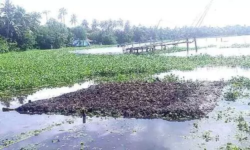 Vembanad Lake