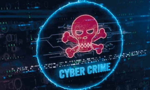 ഓപറേഷൻ പി. ഹണ്ട്;  കോട്ടയം ജില്ലയിൽ 31 കേസുകൾ