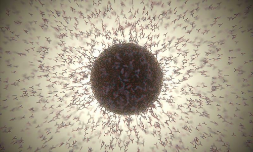 മൂക്കിലൂടെ നല്‍കാനാവുന്ന ആന്റിബോഡി സ്പ്രേയുമായി ​ഗവേഷകർ; വാക്സിന് ബദൽ ?