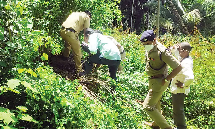 police investigation on tree cutting case