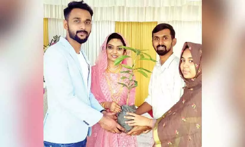 ഫ​ല​വൃ​ക്ഷ​​െത്തെ​ക​ൾ ന​ൽ​കി വ​ധൂ​വ​ര​ന്മാ​ർ