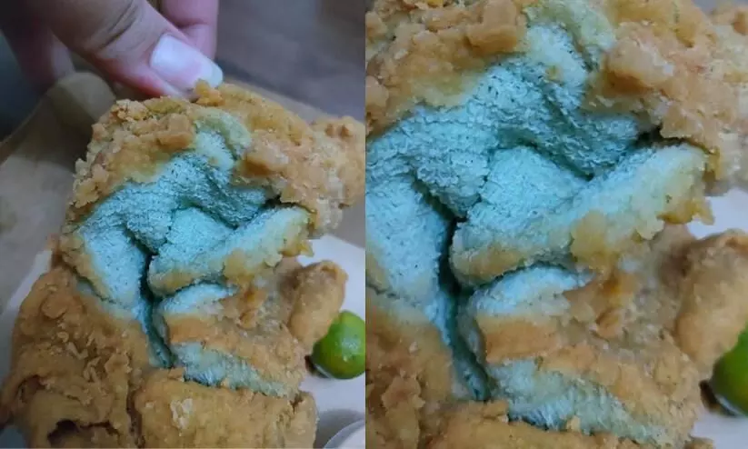 Fried Towel Fried Towel