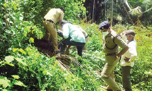 police investigation on tree cutting case