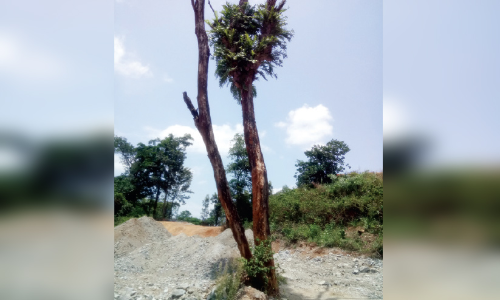 Private land near banasura hill