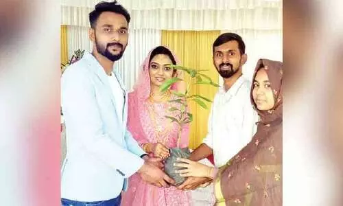 ഫ​ല​വൃ​ക്ഷ​​െത്തെ​ക​ൾ ന​ൽ​കി വ​ധൂ​വ​ര​ന്മാ​ർ