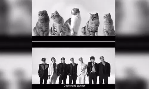 ബി.ടി.എസ് ​ഗാനം ബട്ടറിന്റെ പൂച്ചക്കുട്ടി കവർ വേർഷൻ, വൈറൽ വിഡിയോ